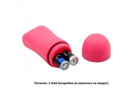 Беспроводной вибростимулятор Pretty Love Fancy Clamshell-foto2