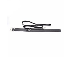 Классический красный ошейник с поводком-foto2