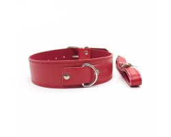 Классический красный ошейник с поводком Классический красный ошейник с поводком