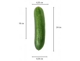 Большой реалистичный фаллос на присоске Skinlike Soft Cock 24 см, Ø 4,5 см-foto2