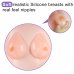 Кукла для секса с пышной грудью Boobie Super Love Doll Кукла для секса с пышной грудью Boobie Super Love Doll