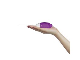 Перезаряжаемое виброяйцо IJOY Wireless Remote Control Rechargeable Egg-foto3