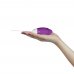 Перезаряжаемое виброяйцо IJOY Wireless Remote Control Rechargeable Egg Перезаряжаемое виброяйцо IJOY Wireless Remote Control Rechargeable Egg