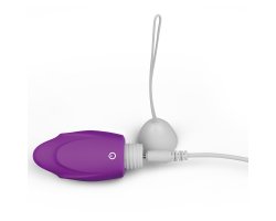 Перезаряжаемое виброяйцо IJOY Wireless Remote Control Rechargeable Egg-foto2