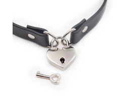 Ошейник с замком в виде сердца-foto4