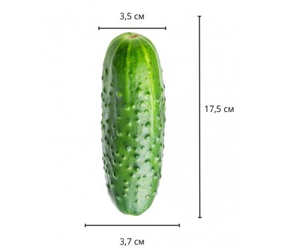 Реалистичный фаллос на присоске Sliding Skin Cock, черный, 17,5 см, Ø 3,7 см Реалистичный фаллос на присоске Sliding Skin Cock, черный, 17,5 см, Ø 3,7 см