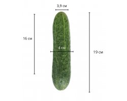 Светящийся фаллос на присоске 19 см, Ø 4 см-foto2