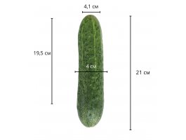 Светящийся фаллос на присоске 21 см, Ø 4 см-foto2
