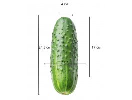 Фаллоимитатор Dual Layer Platinum Silicone Cock, 24,5 см, Ø 6-7 см-foto2