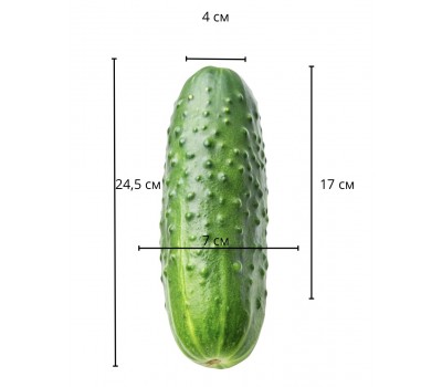 Фаллоимитатор Dual Layer Platinum Silicone Cock, 24,5 см, Ø 6-7 см