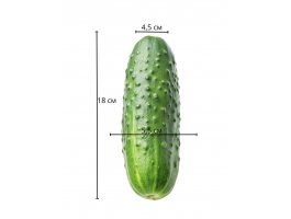 Фаллоимитатор King Sized Cock, 18 см, Ø 5,5 см-foto2