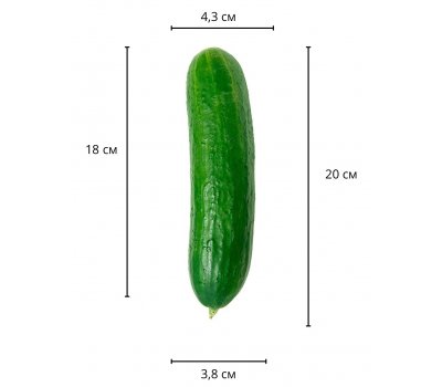 Реалистичный фаллос без мошонки на присоске Sliding Skin Dual Layer Dong, 20 см, Ø 3,8 см