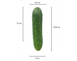 Реалистичный фаллос на присоске Sliding Skin Dual Layer Dong, 20,8 см, Ø 4 см-foto3