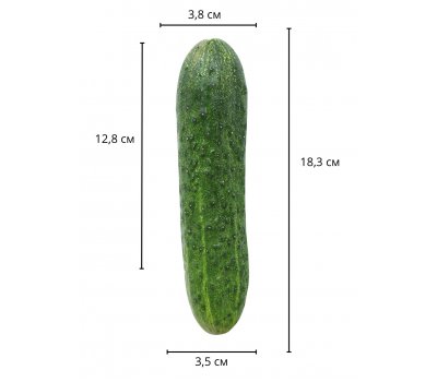 Реалистичный фаллос мулат на присоске Sliding Skin Dual Layer Dong, 18,3 см, Ø 3,5 см Реалистичный фаллос мулат на присоске Sliding Skin Dual Layer Dong, 18,3 см, Ø 3,5 см
