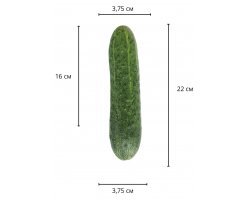 Реалистичный фаллос мулат на присоске Sliding Skin Dual Layer Dong, 22 см, Ø 3,7 см-foto14