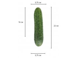 Реалистичный фаллос мулат на присоске Sliding Skin Dual Layer Dong, 22 см, Ø 3,7 см-foto14