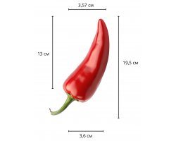 Реалистичный фаллос черного цвета на присоске Sliding Skin Dual Layer Dong, 19,5 см, Ø 3,6 см-foto2