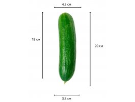 Реалистичный фаллос черного цвета без мошонки на присоске Sliding Skin Dual Layer Dong, 20 см, Ø 3,8 см-foto13